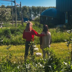 Dagretraite: familieopstellingen - Representant